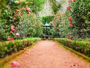 Tendencias en Diseño de Jardines