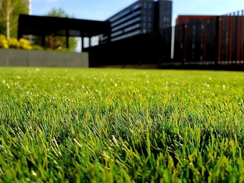 Cómo Preparar tu Jardín para la Primavera